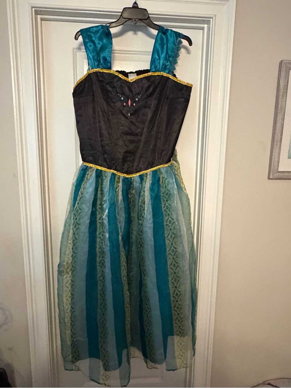Girls Teal and Black Princess Costume Dress